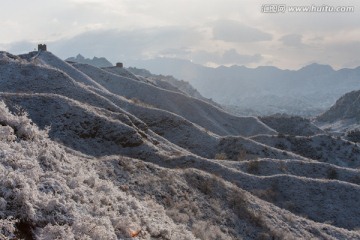 长城冬雪 树挂