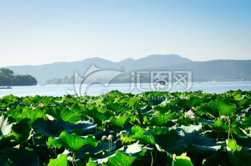 杭州西湖风景