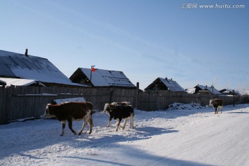 山里小乡村