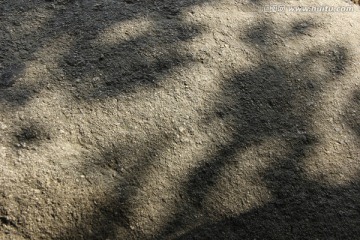 石纹