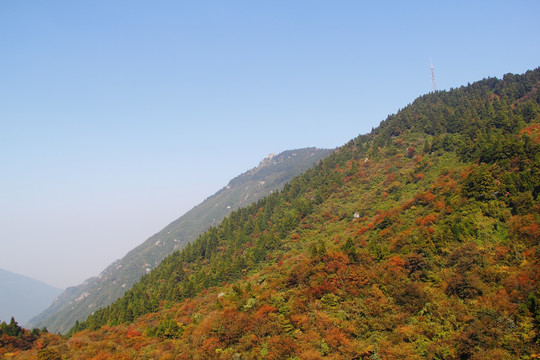 南岳衡山风景区 森林 植被