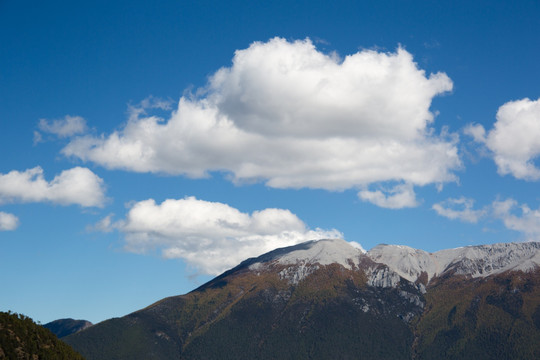 香格里拉东坝山