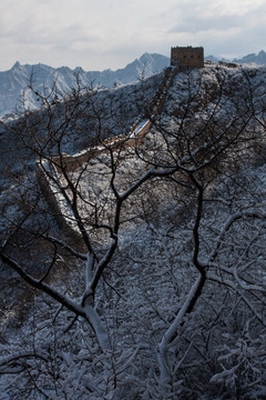 长城冬雪 树挂 竖片 竖构图