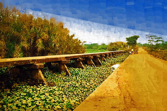路边风景
