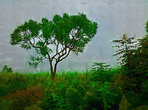 野外油画