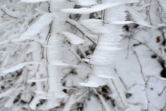 雪花