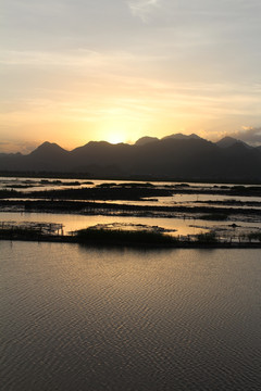 湿地 日落
