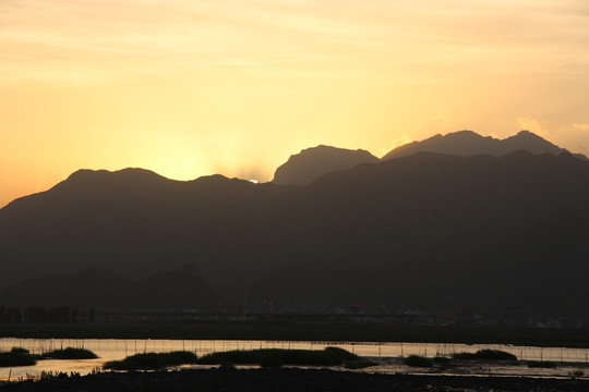 湿地 日落