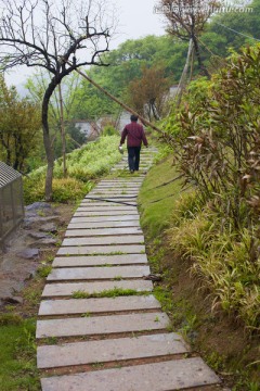 山庄别墅 道路 庭院 居住环境