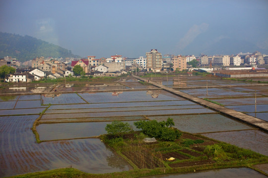 浙江 乡村 村镇 乡镇 农田