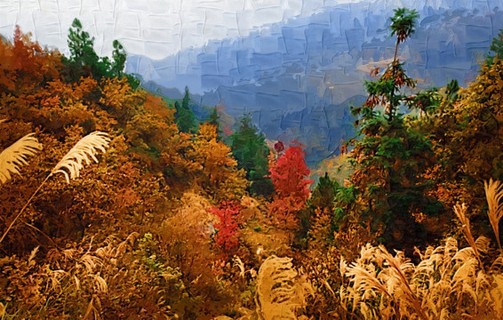 山坡树林