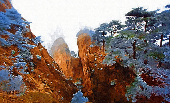 冬松风景
