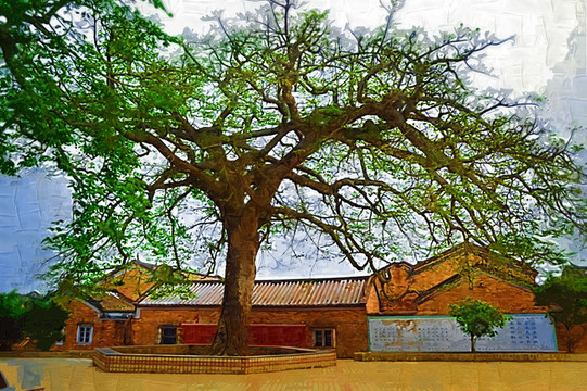 大树油画