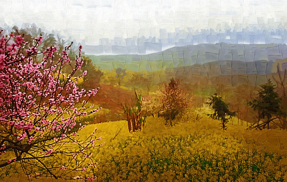 油菜花风景
