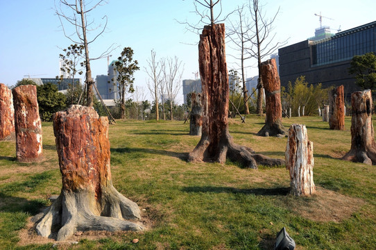树木雕塑 古树枯树