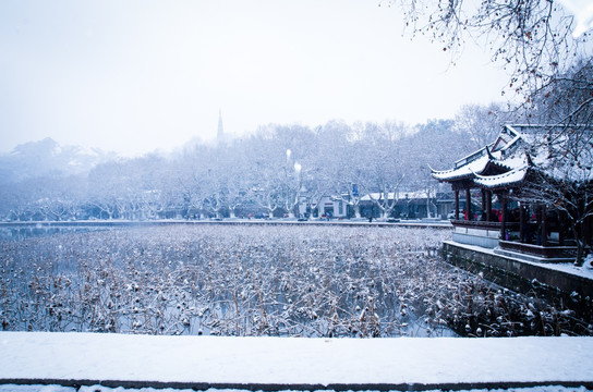 杭州西湖雪景