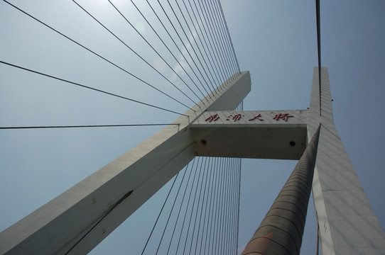 南浦大桥 斜拉桥