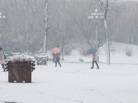 雪中的校园