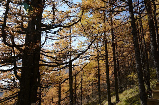 太白山风景