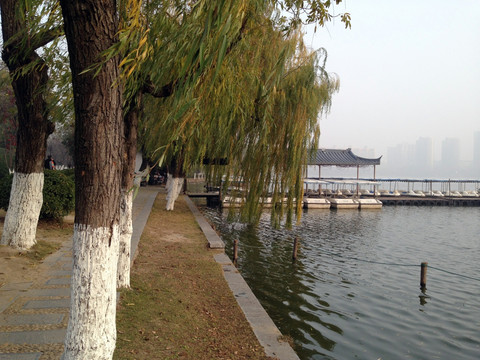 莫愁湖 湖堤 道路 树木 湖面