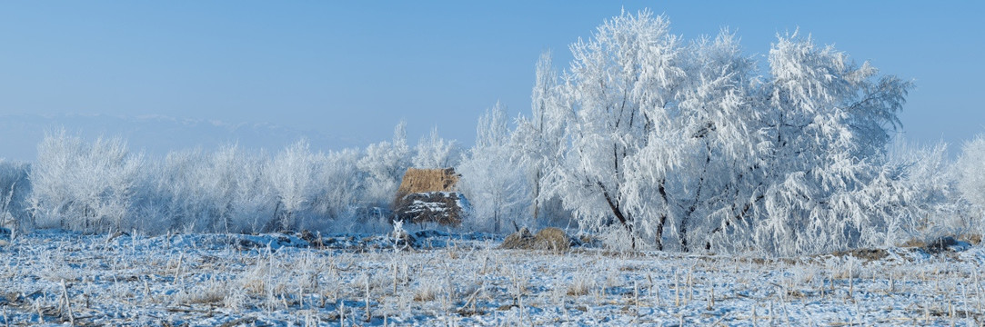 雾凇冰挂 天山牧场 冰雪旅游