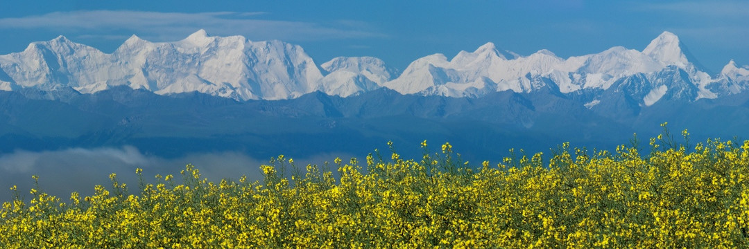 高山花环 汗腾格里峰 天山风光