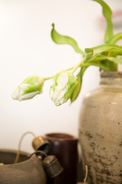 花瓶里的花
