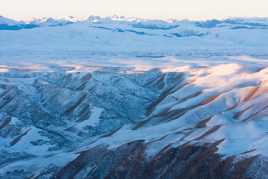 高原 雪影