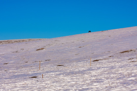 雪山