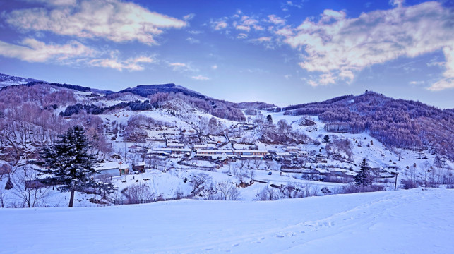 雪村风光