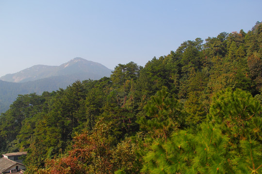 南岳衡山 森林 植被