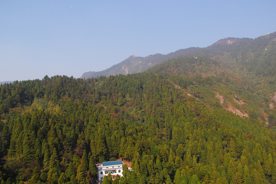 南岳衡山 森林 植被