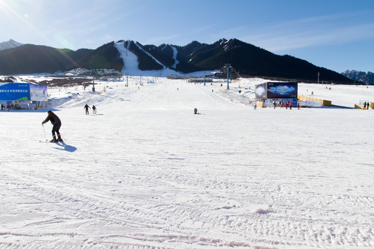 新疆丝绸之路滑雪场