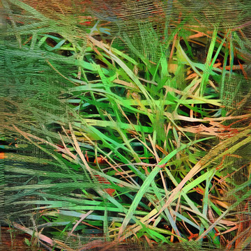 油画 抽象画 线条