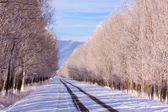 雪路  公路