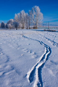 雪地  足迹