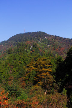 南岳衡山风景区 森林 植被