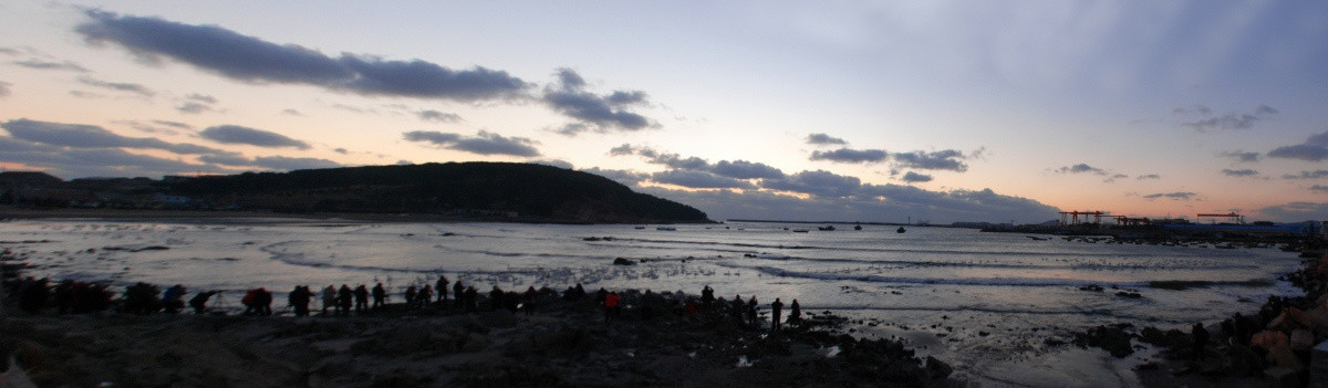 烟墩角 天鹅 海豚湾 日出