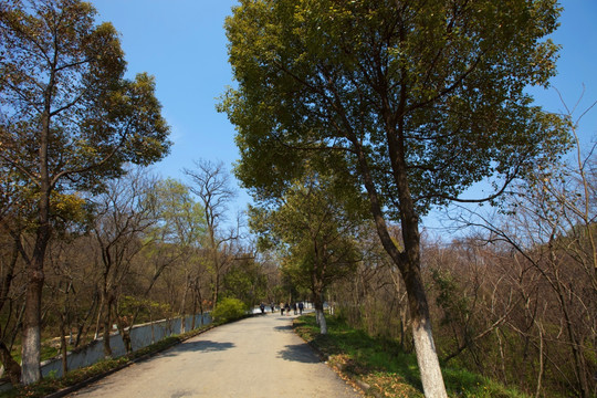 善卷洞风景区 宜兴 旅游 景点