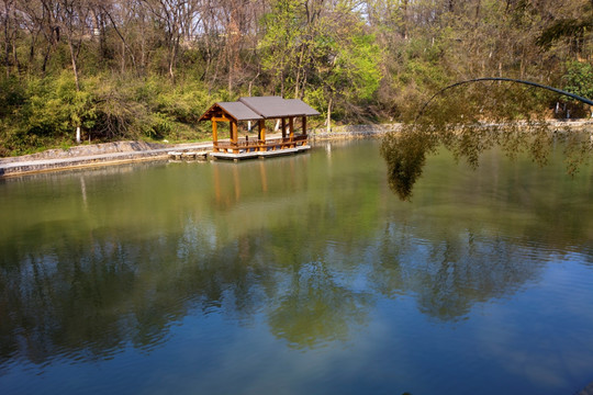 善卷洞风景区 宜兴 旅游 景点