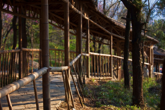 善卷洞风景区 宜兴 旅游 景点