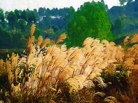 芦苇油画
