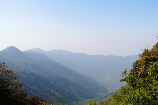 南岳衡山 森林 植被