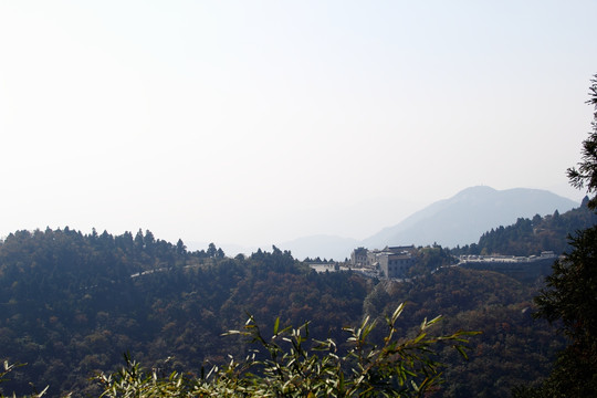 南岳衡山风景区 森林 植被