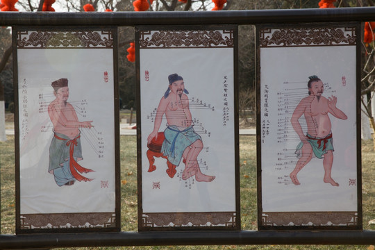 中医科普画廊