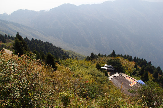 南岳衡山风景区 森林 植被