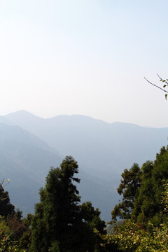 南岳衡山风景区 森林 植被