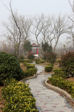 公园小路