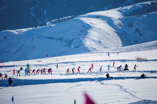 滑雪场  滑雪比赛
