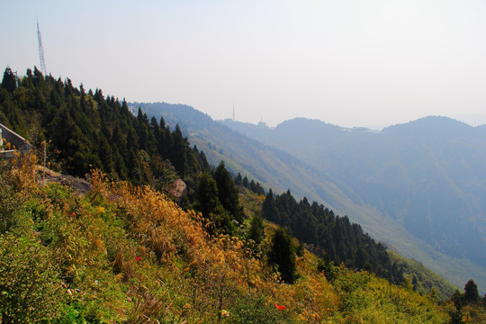 南岳衡山风景区 森林 植被